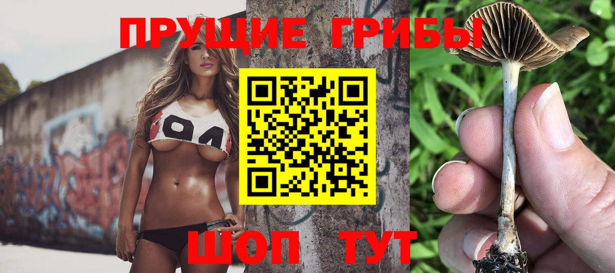 Галлюциногенные грибы прущие грибы  Вход с VPN  Рославль  Псилоцибиновые грибы Magic Shrooms 