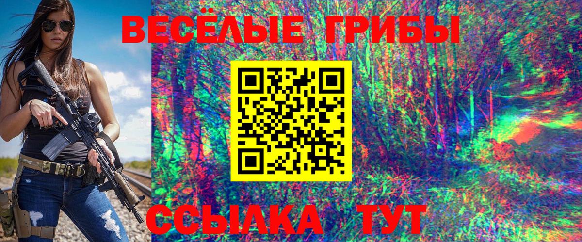 Псилоцибиновые грибы Psilocybine cubensis Рославль